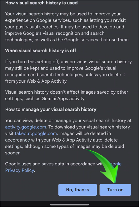 Google Include Settings