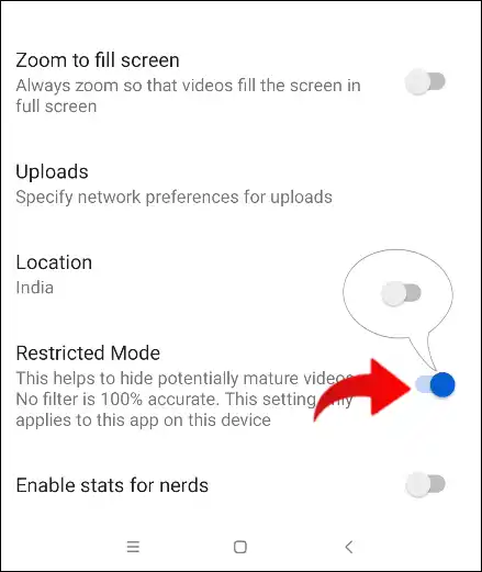 Toggle Off to Disable Restricted Mode