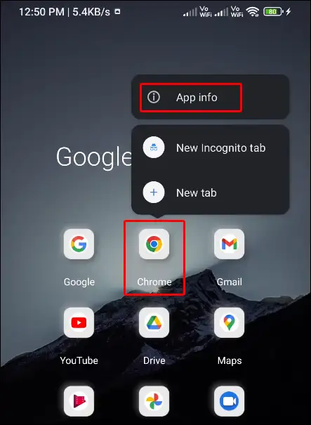 chrome browser app info