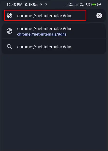 chrome://net-internals/#dns