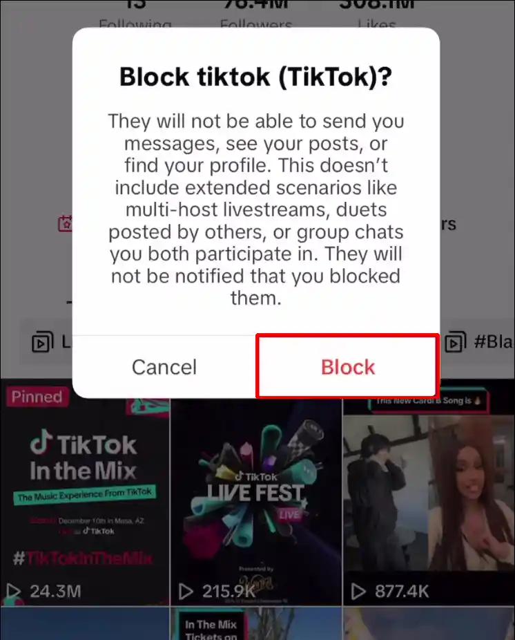 confirm tiktok block