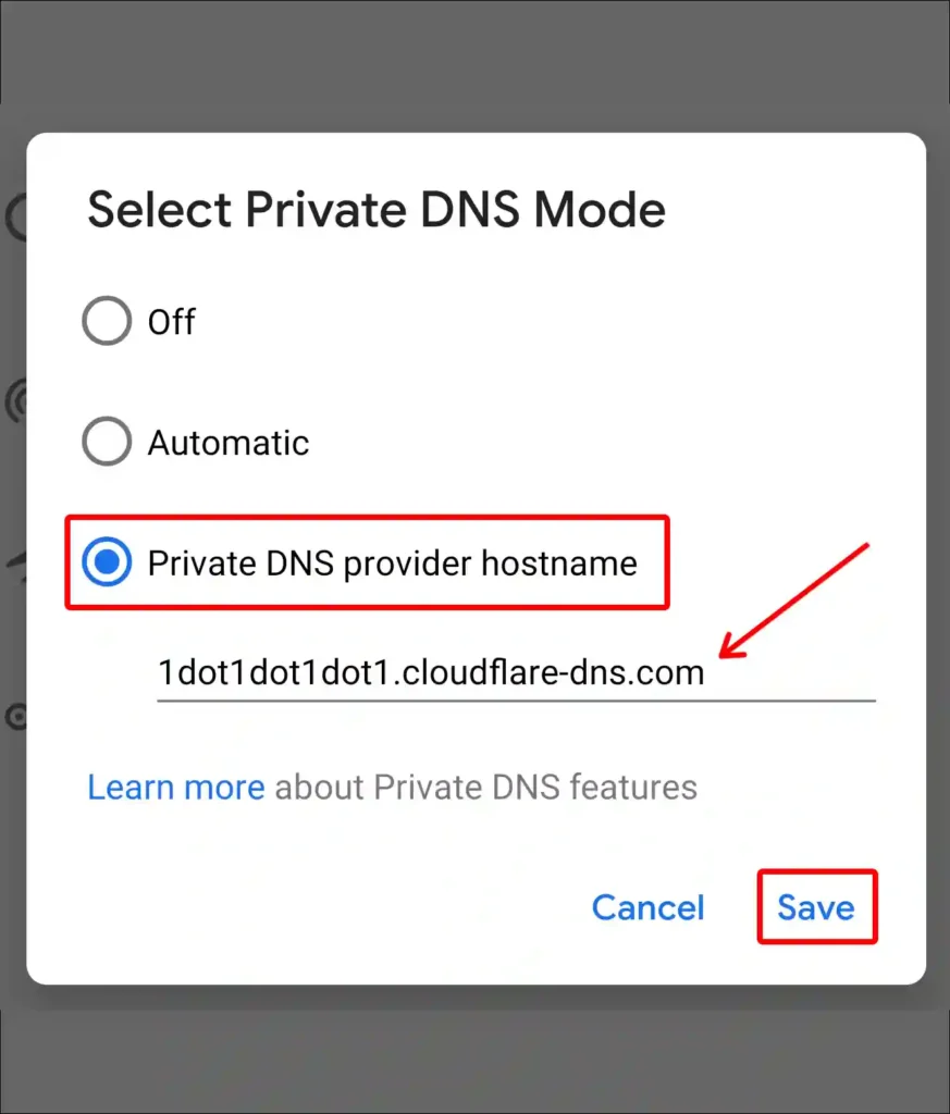 private dns provider hostname