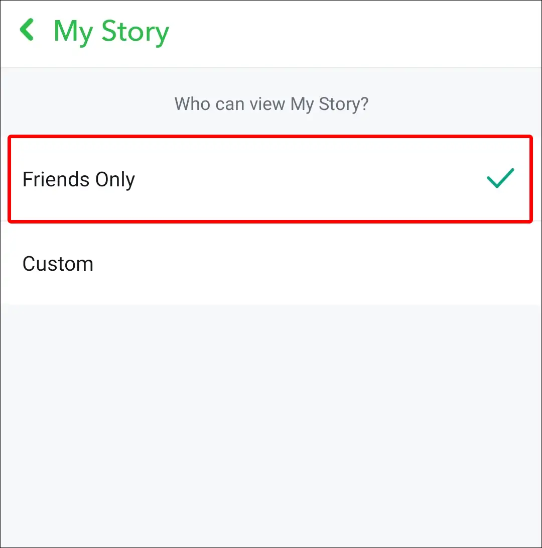 snapchat view my story friends only