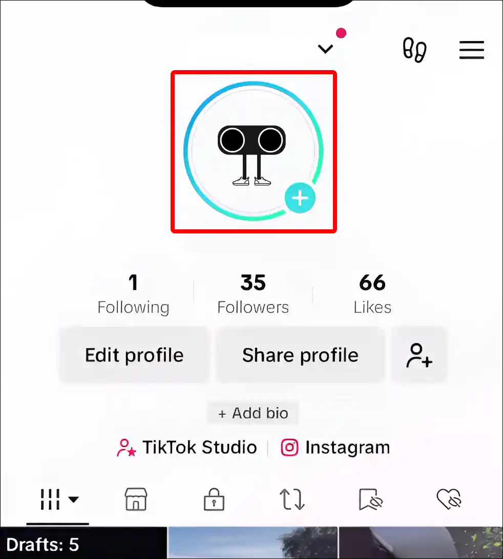 tiktok profile picture