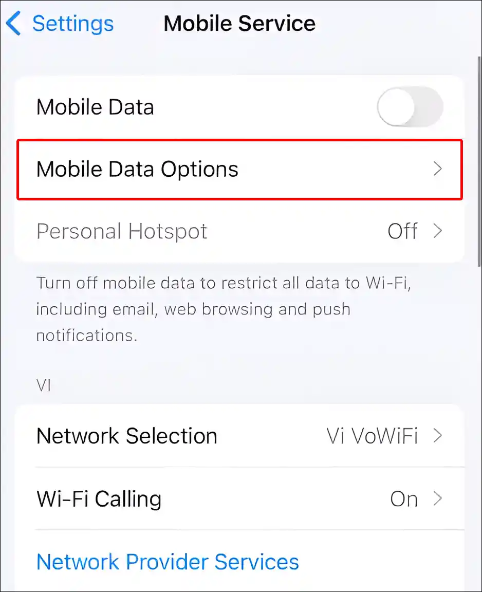 iphone mobile data options