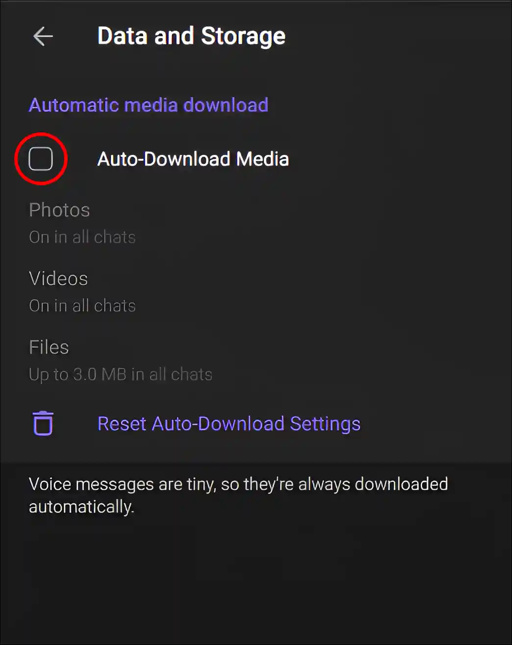 desktop telegram web disable auto-download media