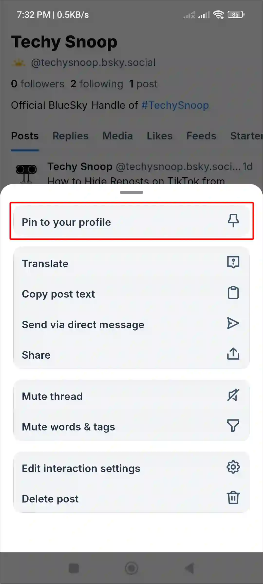 bluesky app pin to your profile