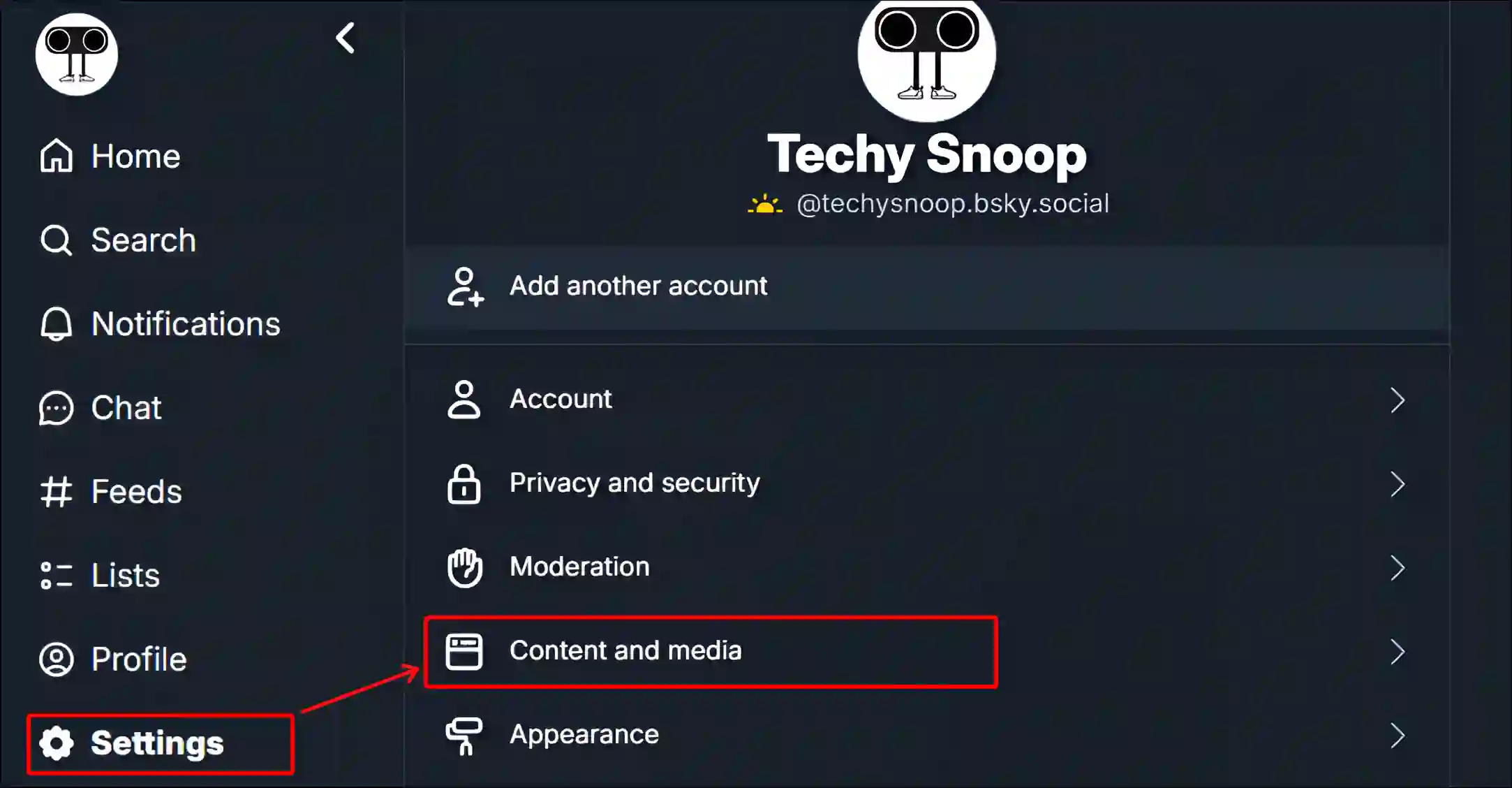 bluesky content and media settings