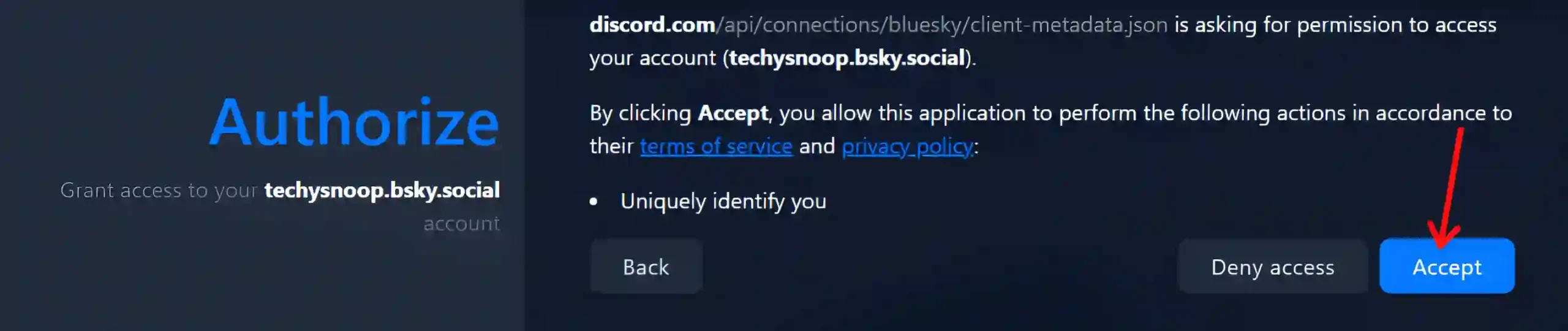 discord bluesky account grant access