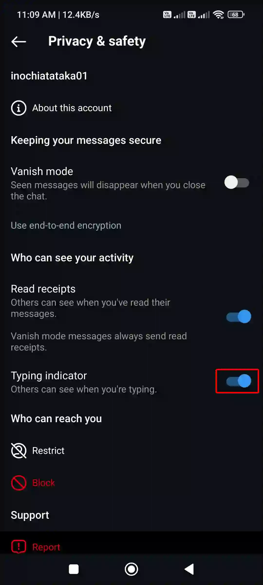 enable instagram dm typing indicator