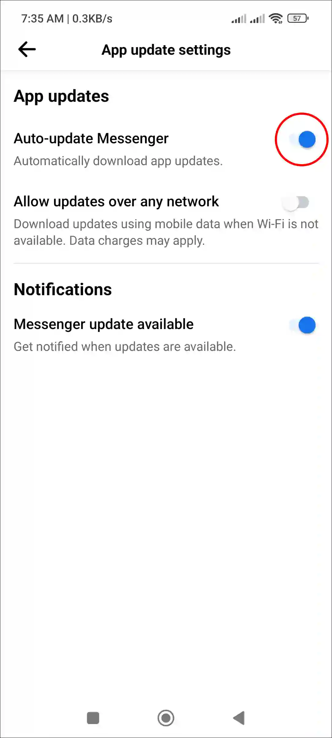 disable auto-update messenger