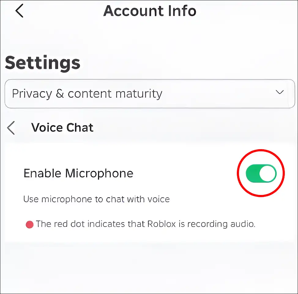 enable roblox app microphone