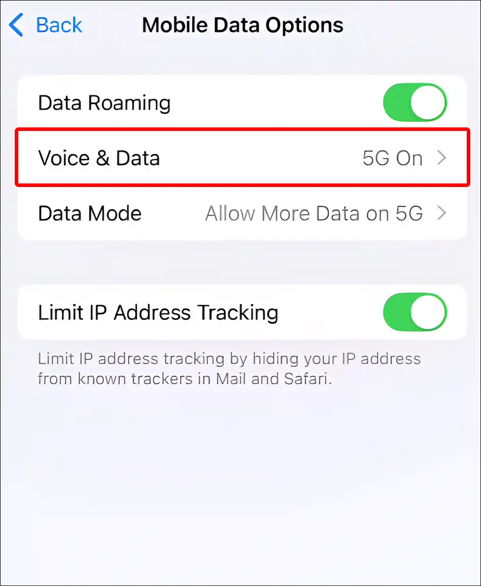 iphone voice & data settings