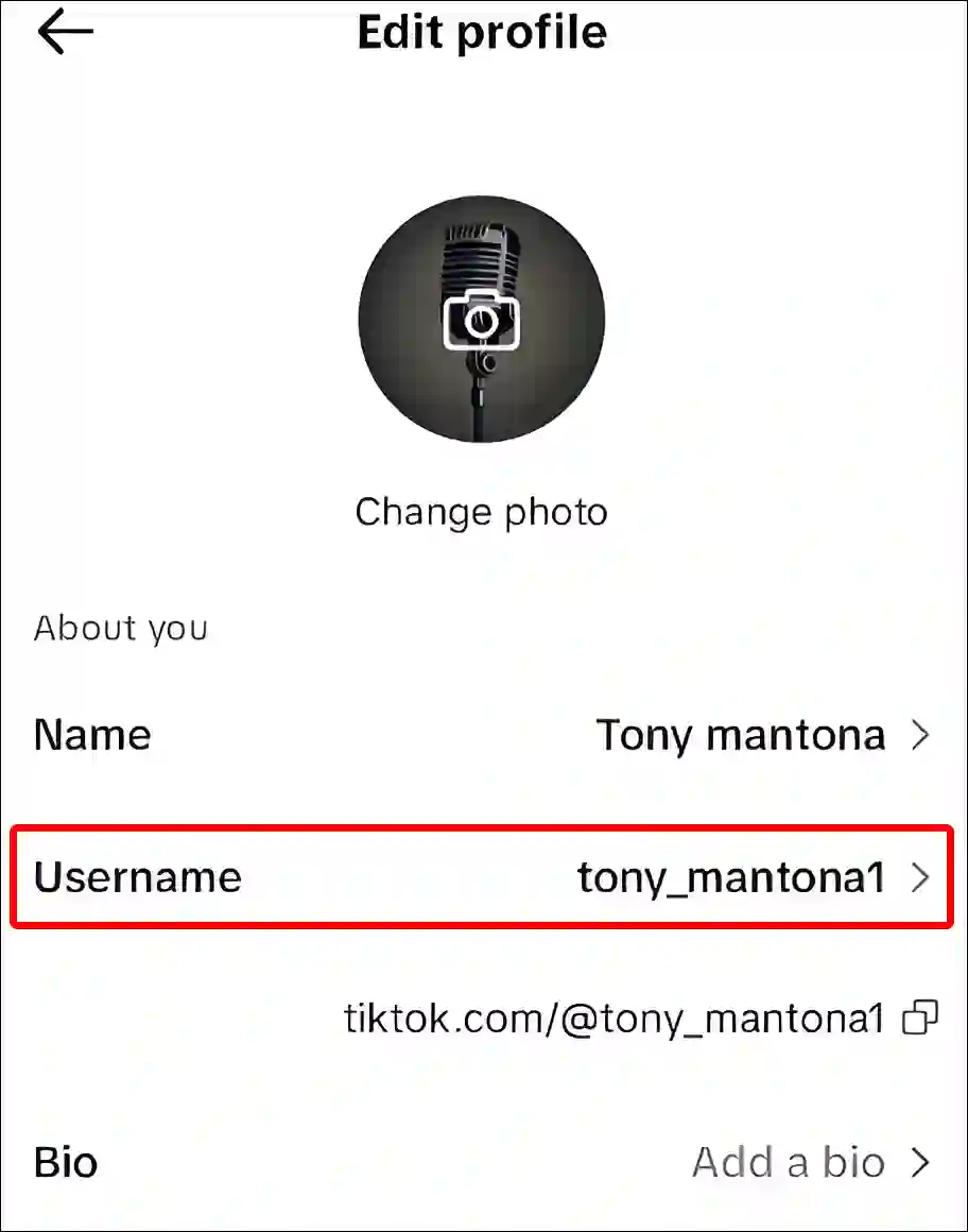 tiktok app edit profile username