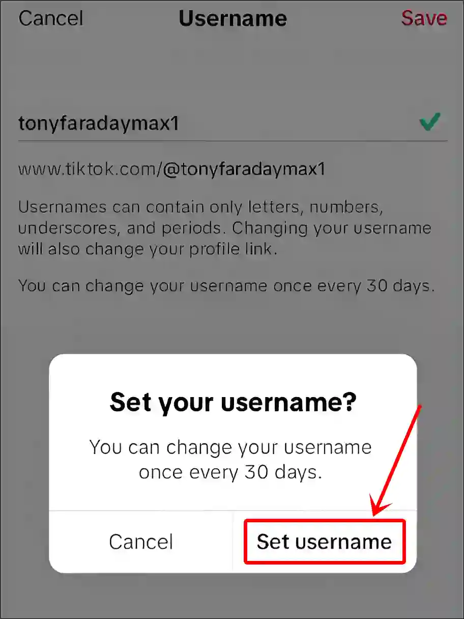 tiktok set username