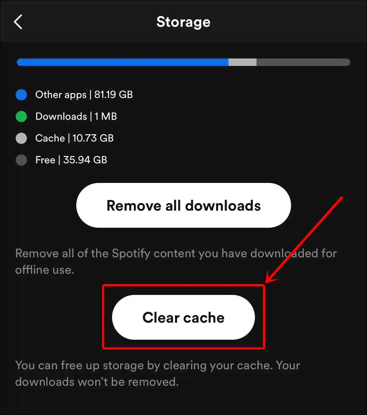 clear spotify cache on iphone