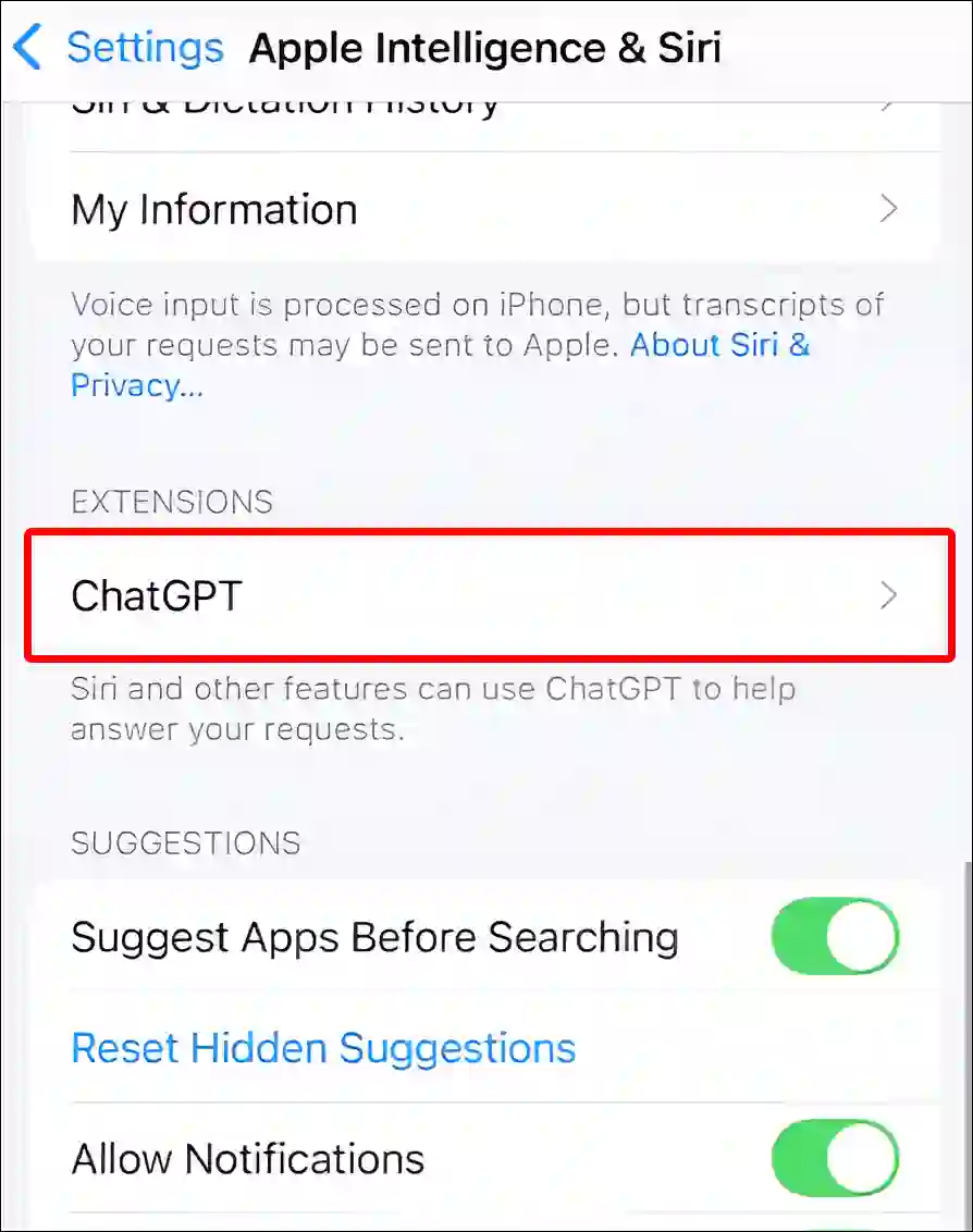 iphone chatgpt extension settings