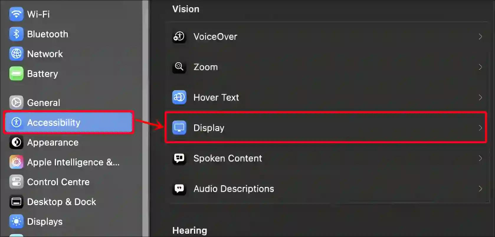 mac accessibility display settings