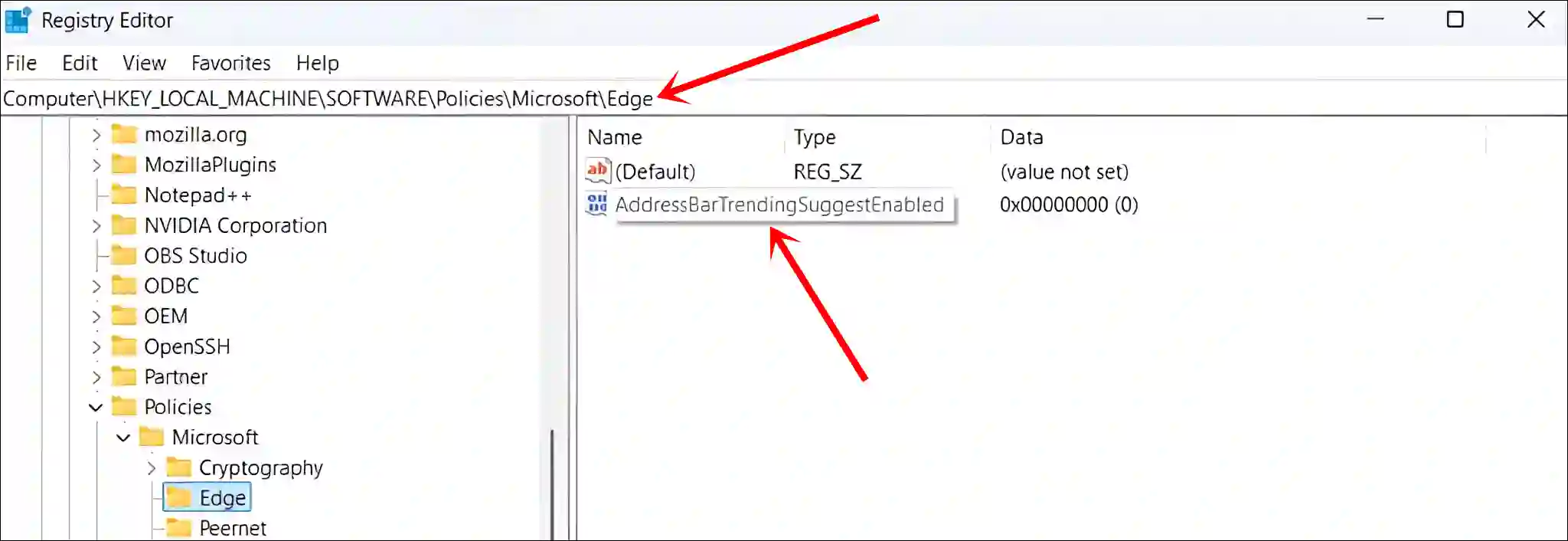 registry editor addressbartrendingsuggestenabled