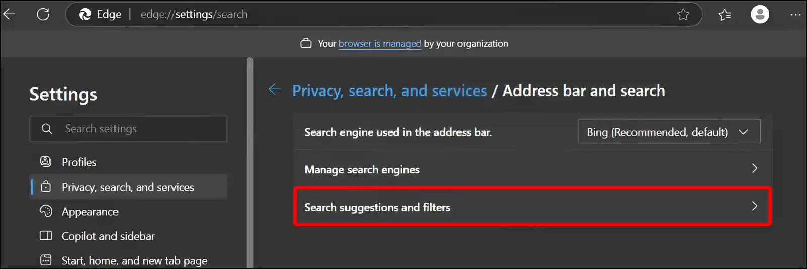 search suggestions and filters edge