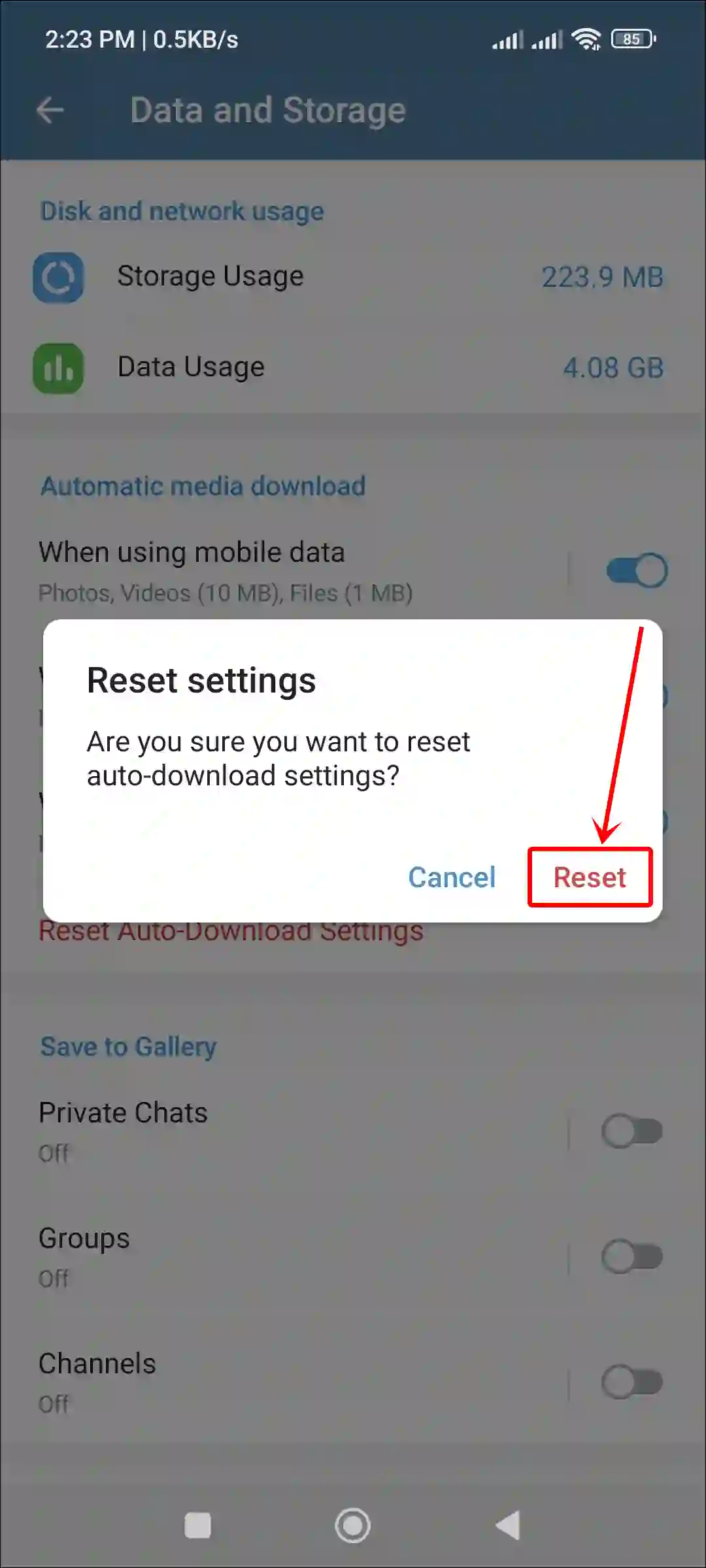 telegram app auto-download settings reset