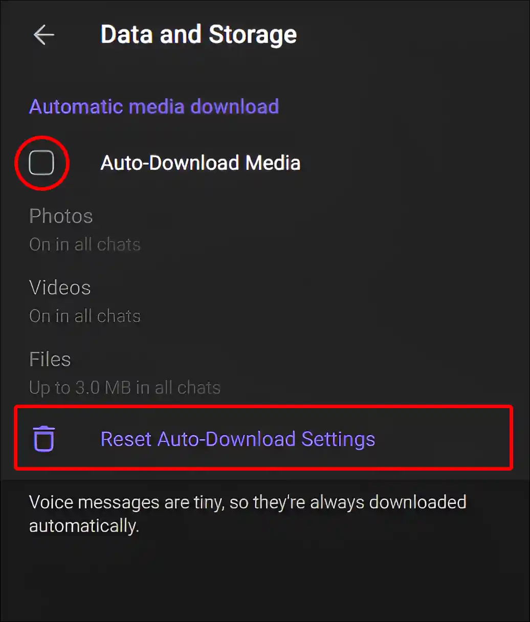 telegram web reset auto-download settings