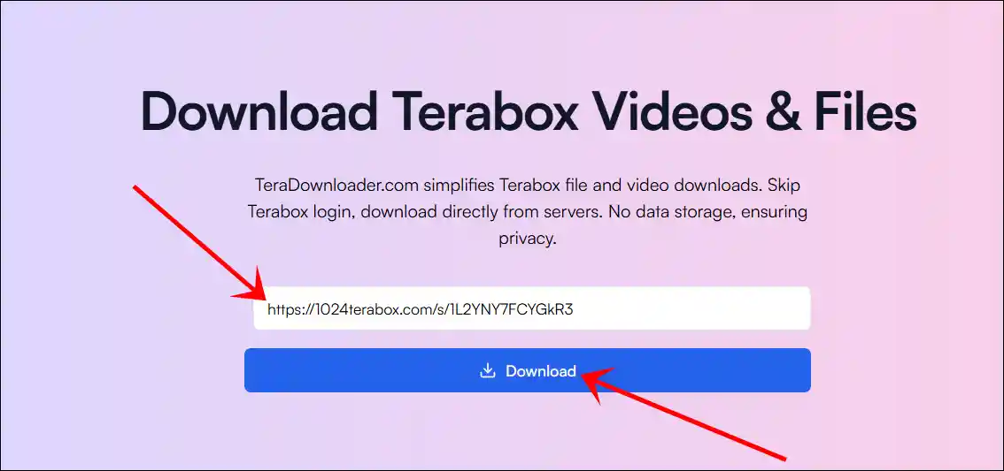 teradownloader.com video link paste