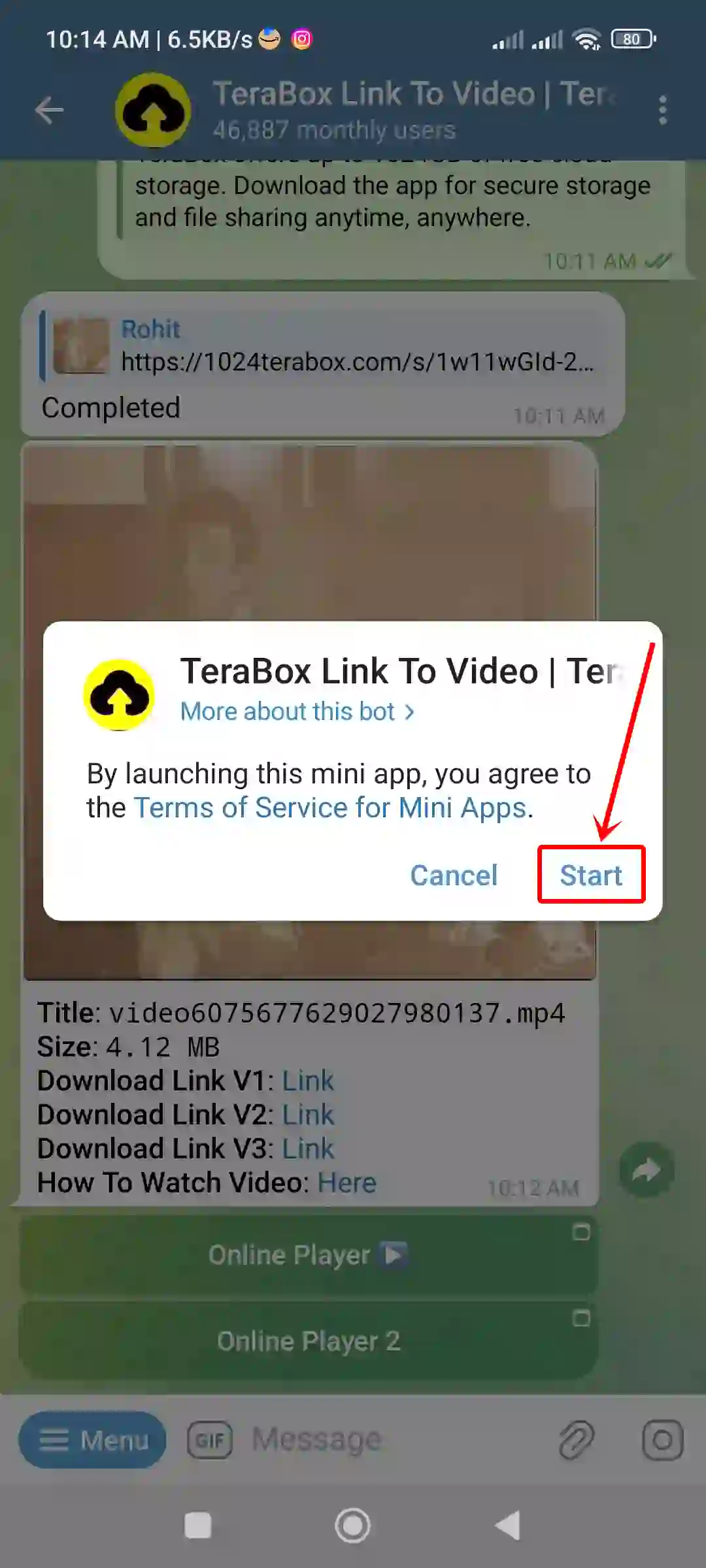 telegram terabestbot online player start