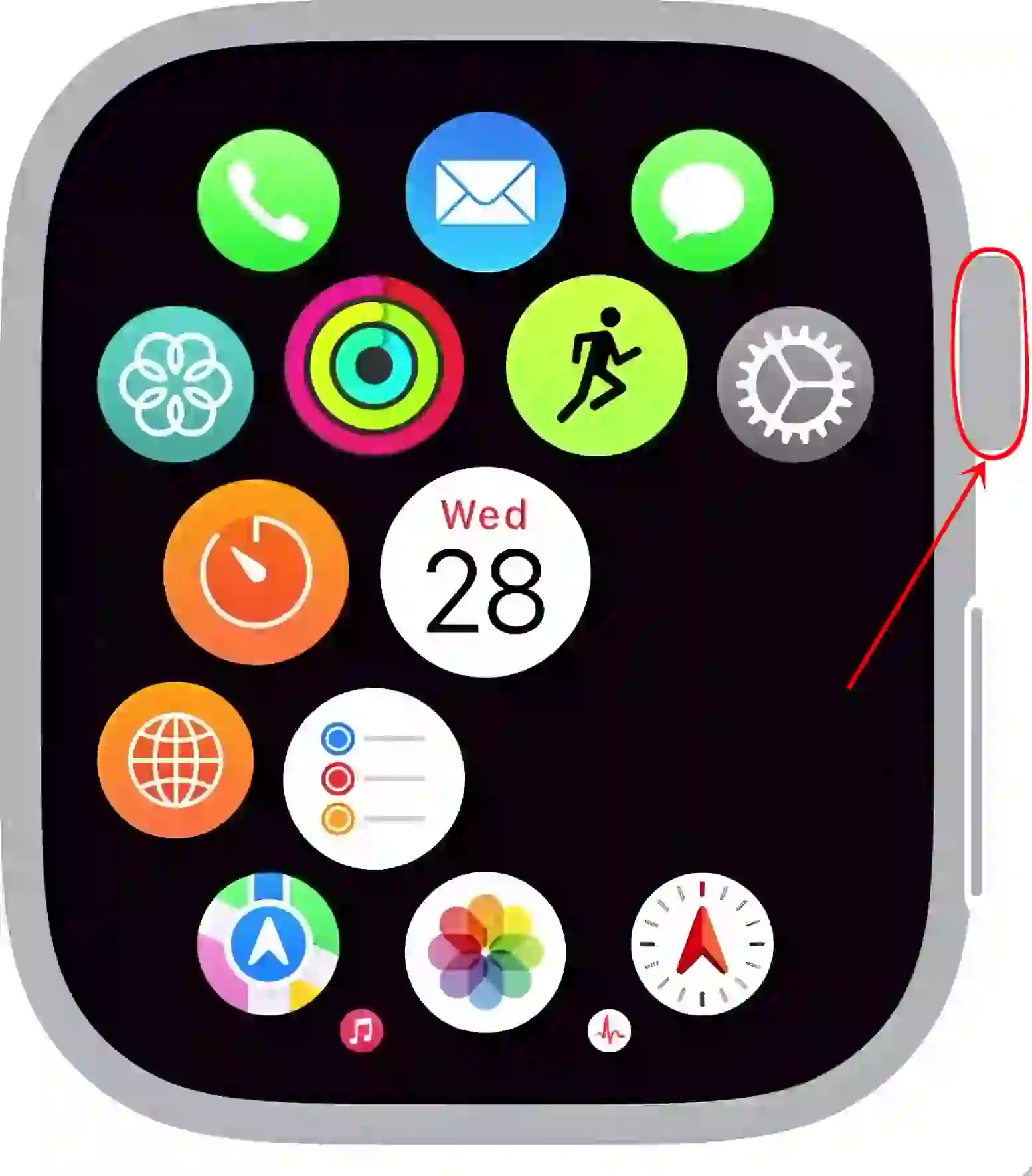 apple watch digital crown