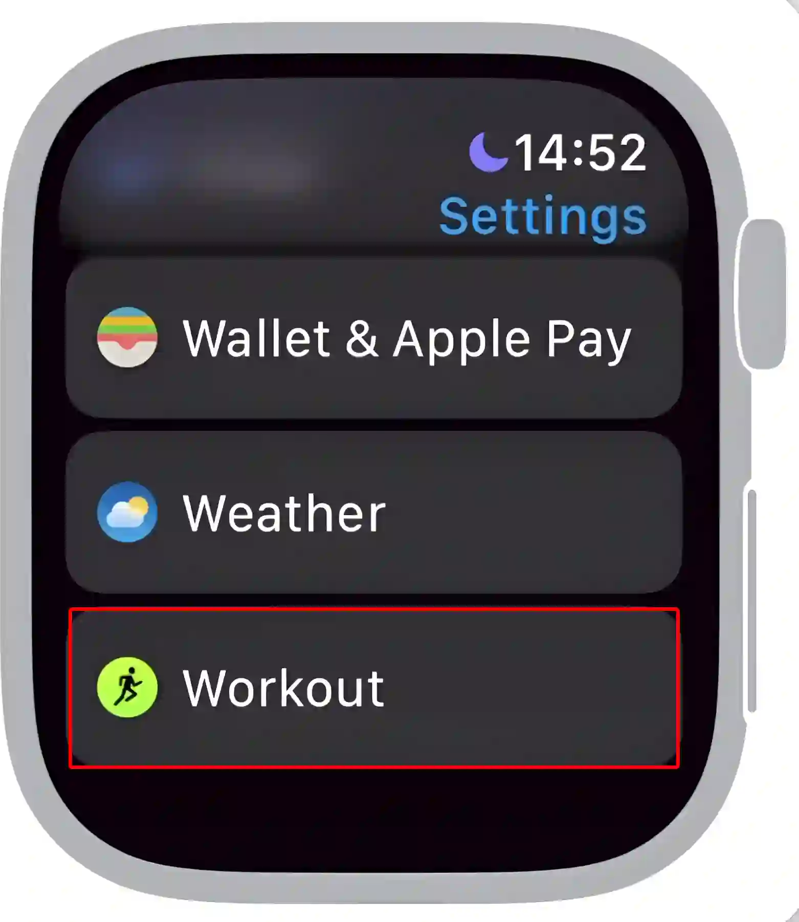 apple watch workout settings