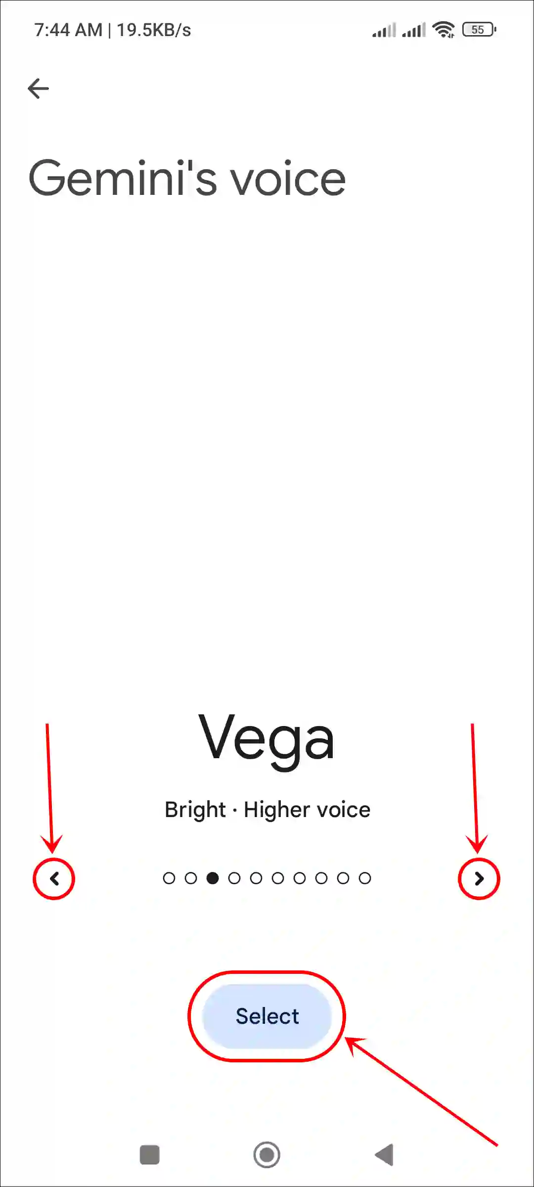 change gemini voice