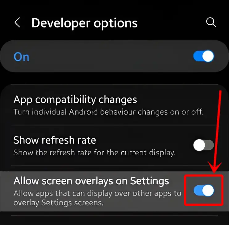 allow screen overlay on settings developer options