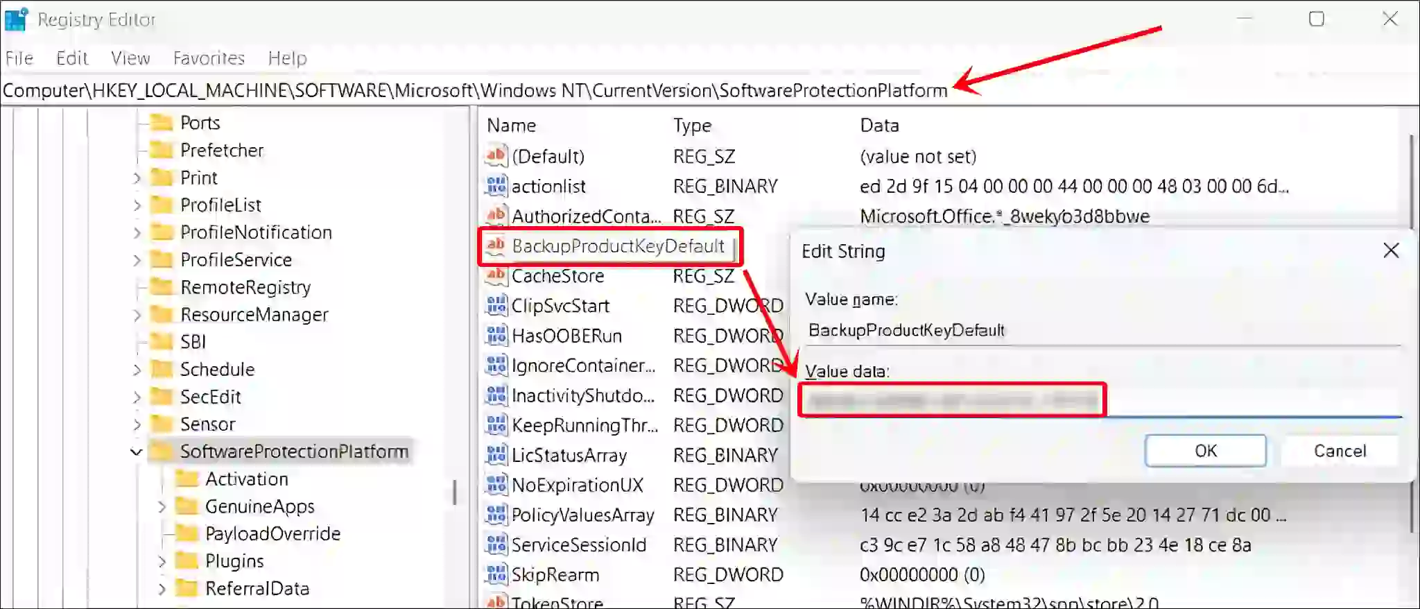 Get windows 11 product key from registry