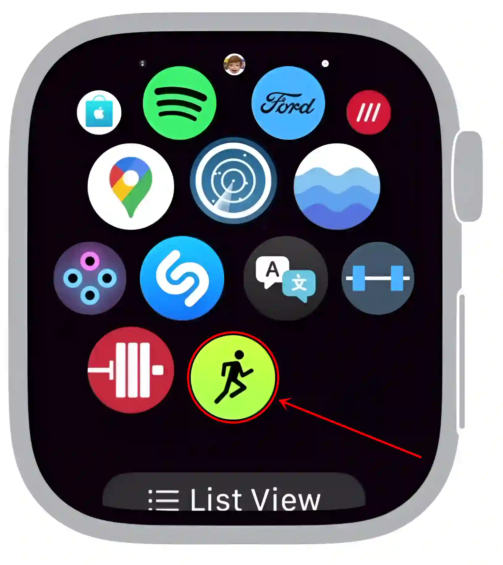 pedometer app apple watch grid