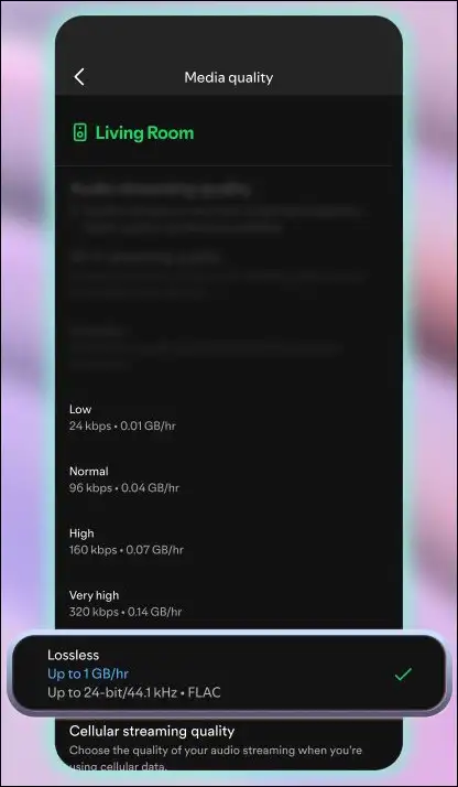 lossless spotify setup step 4