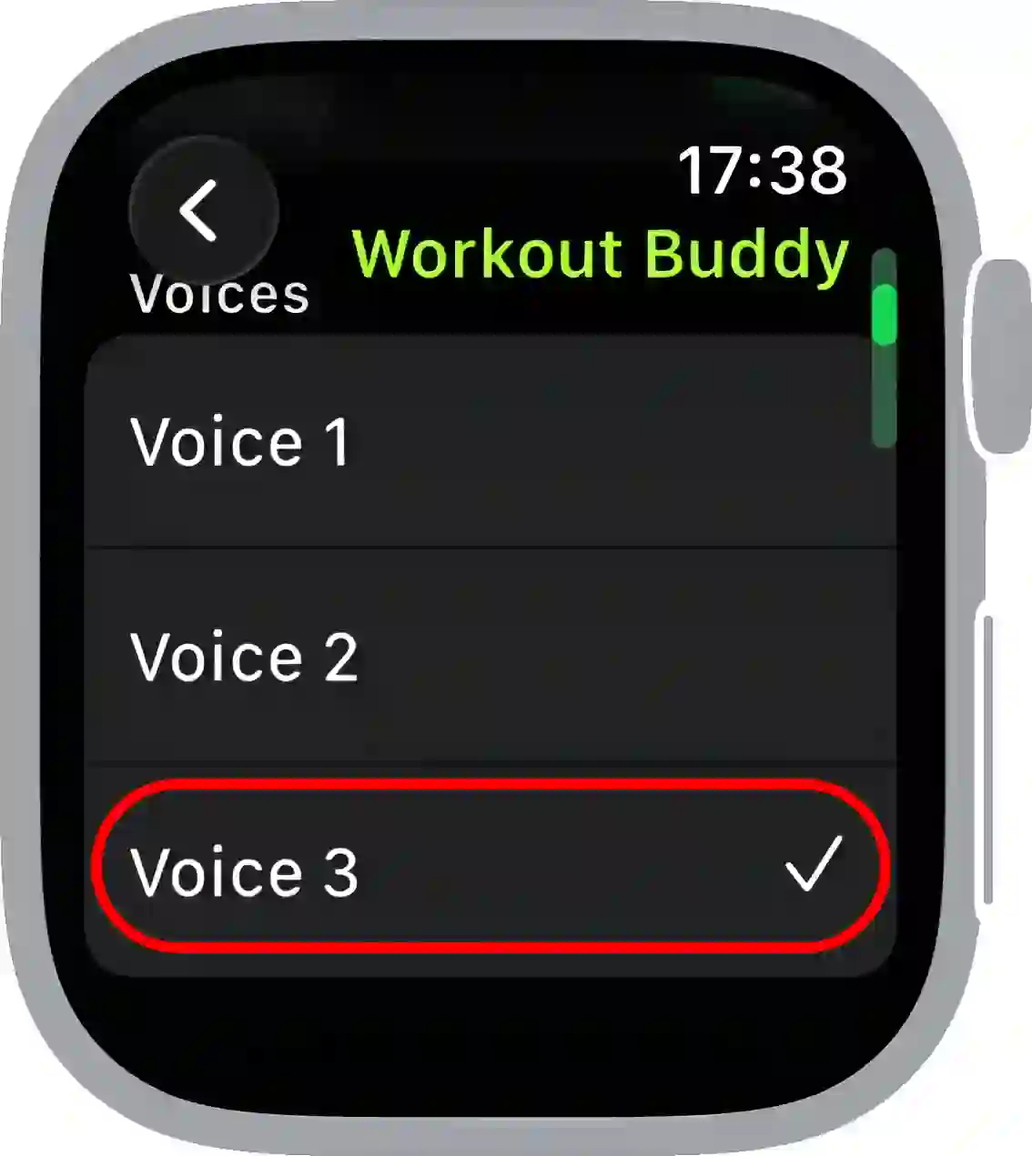 change apple watch workout buddy voice