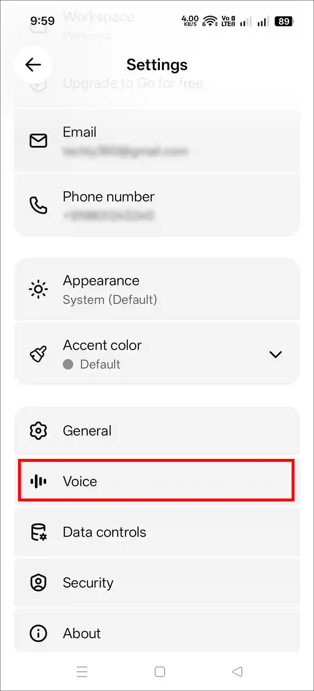 chatgpt app voice settings