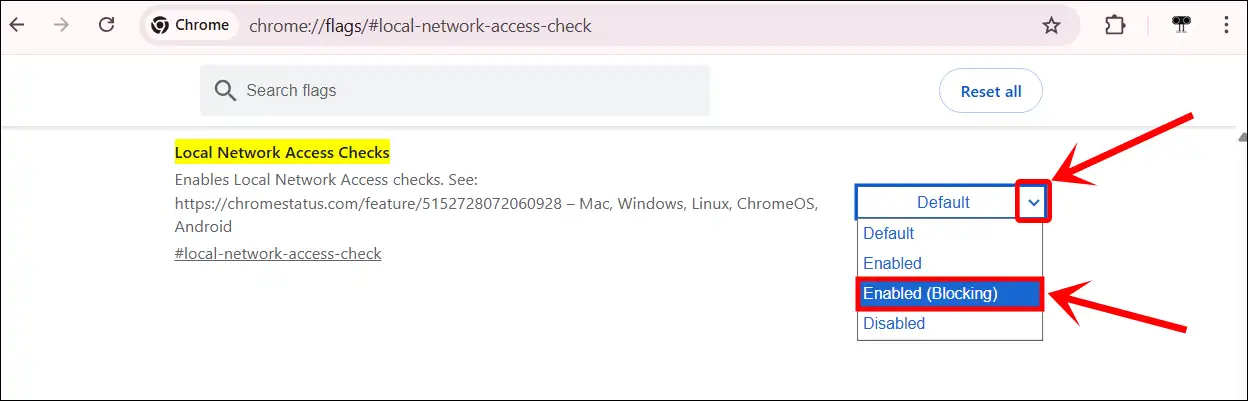 local network access checks enabled blocking chrome