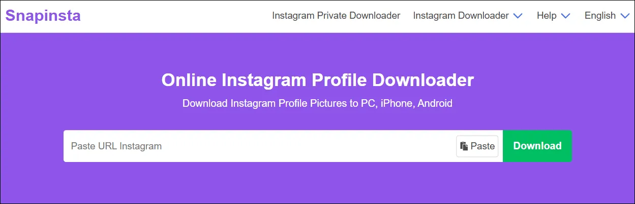 snapinsta dp downloader