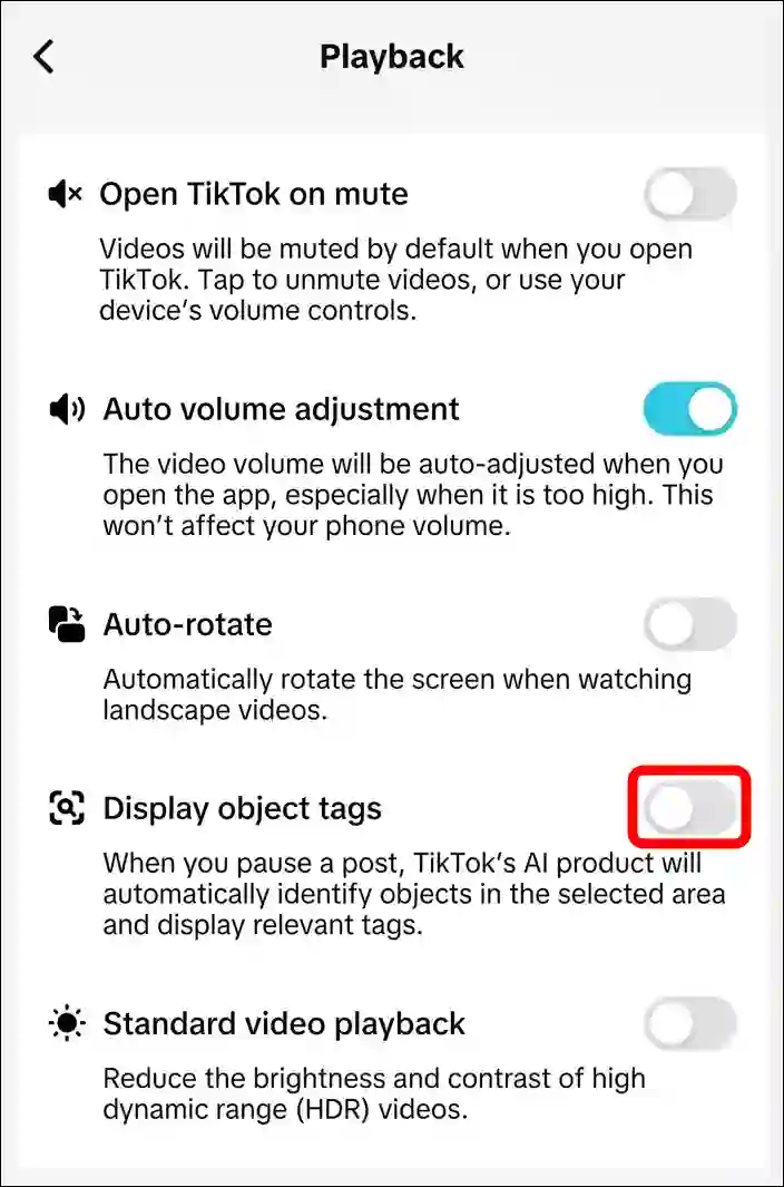 disable display object tags tiktok, stop ai overview on tiktok