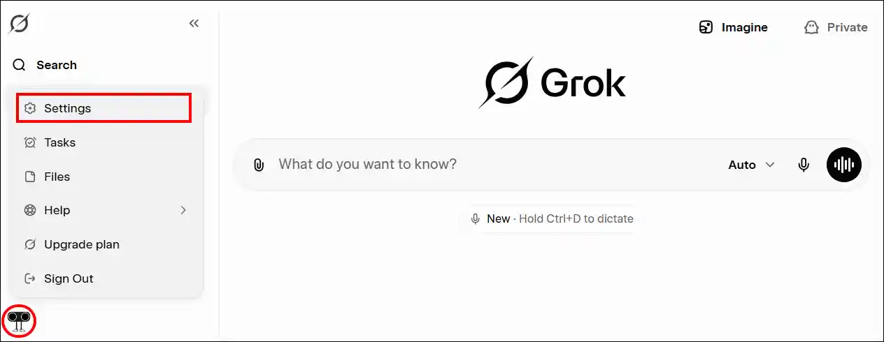 grok web settings